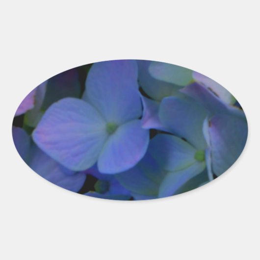 Violet paars roze blauwe hydrangeenbloem ovale sticker (Voorkant)
