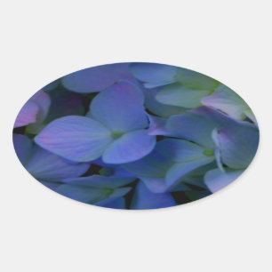 Violet paars roze blauwe hydrangeenbloem ovale sticker