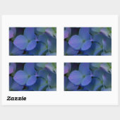 Violet paars roze blauwe hydrangeenbloem rechthoekige sticker (Vel)