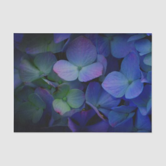 Violet paars roze blauwe hydrangeenbloem tissuepapier (Voorkant)