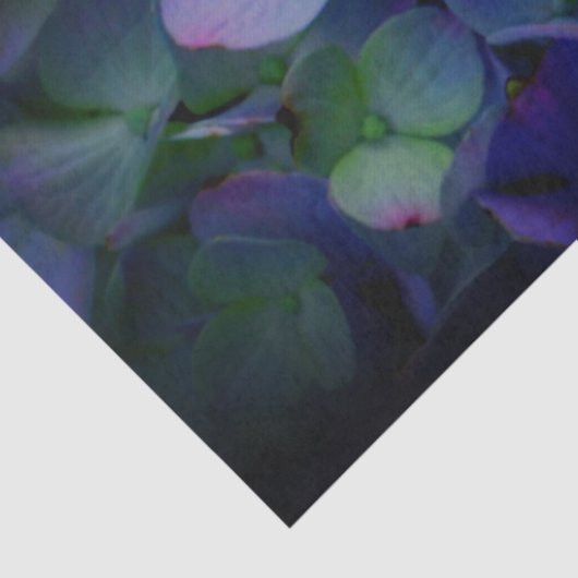 Violet paars roze blauwe hydrangeenbloem tissuepapier (Detail)