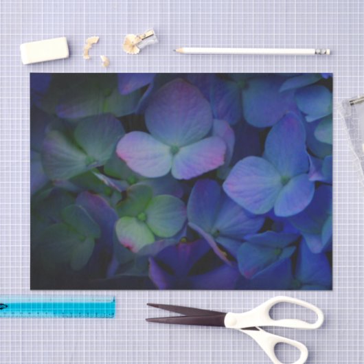 Violet paars roze blauwe hydrangeenbloem tissuepapier (Craft)