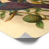 Violet Paarse Manucode  vogelafdrukken Poster (Hoek)