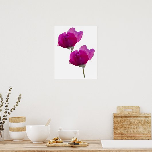 Violet Paarse Roos Bloemen Poster (Keuken)