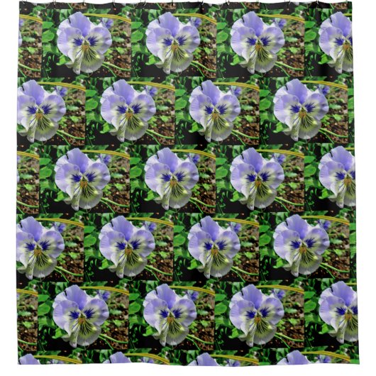 VIOLET PANSY DOUCHEGORDIJN (Voorkant)