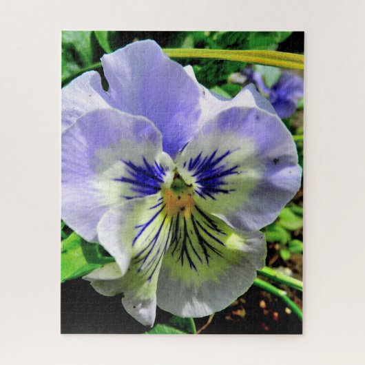 VIOLET PANSY LEGPUZZEL (Verticaal)