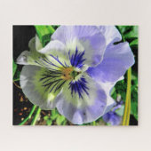 VIOLET PANSY LEGPUZZEL (Horizontaal)