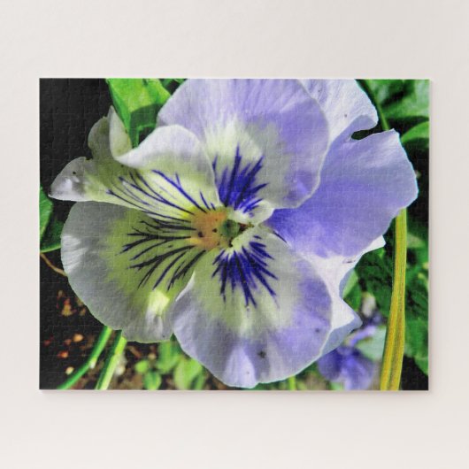 VIOLET PANSY LEGPUZZEL (Horizontaal)