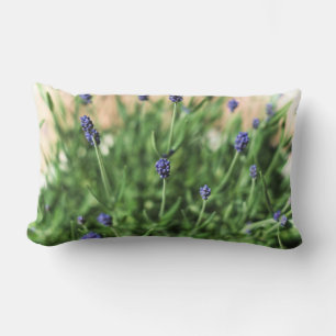 Violet Pillow Kussen