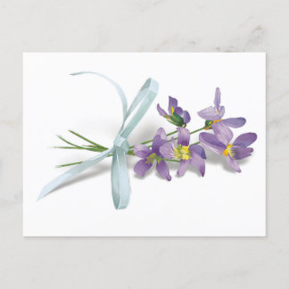 Violet Post Card Briefkaart