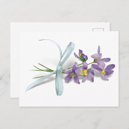 Violet Post Card Briefkaart (Voorkant / Achterkant)