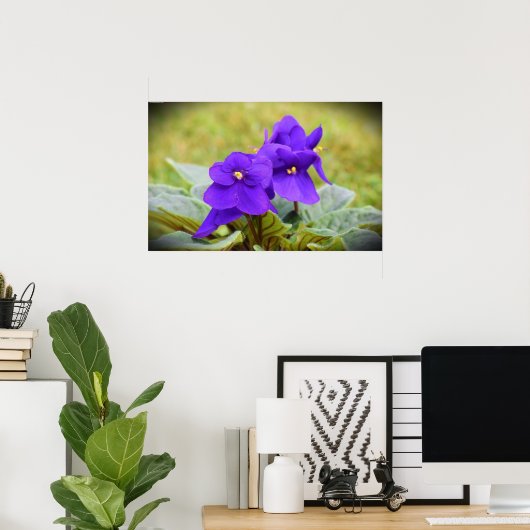 Violet, Poster (Thuiskantoor)