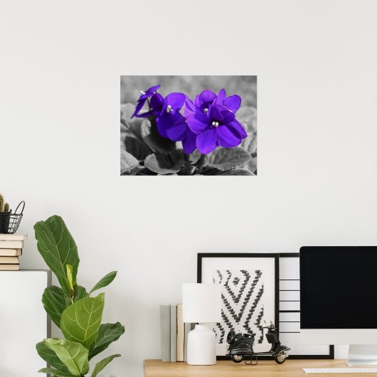 Violet, Poster (Thuiskantoor)