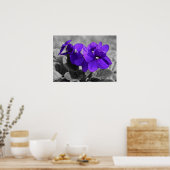 Violet, Poster (Keuken)