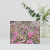 Violet Rays Struik Flower Briefkaart (Staand voorkant)