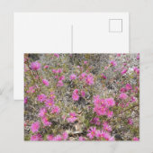 Violet Rays Struik Flower Briefkaart (Voorkant / Achterkant)