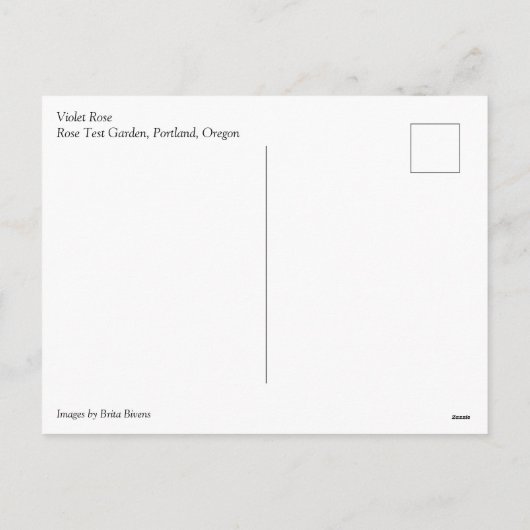 Violet Roos Feestdagenkaart (Achterkant)