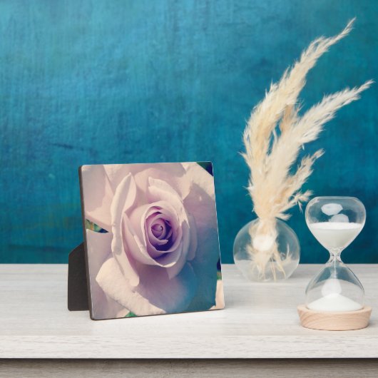 Violet Roos Fotoplaat (Insitu)