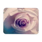 Violet Roos Magneet (Horizontaal)