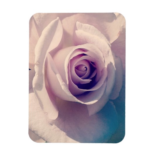 Violet Roos Magneet (Verticaal)