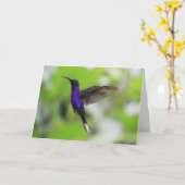 Violet Sabrewing kolibrie Kaart (Gele Bloem)