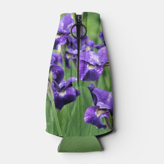 Violet Siberische Iris, broer van Ceasar Flesjeskoeler (Achterkant)