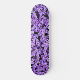 Violet Skateboard Violet Flowers Spring Paars