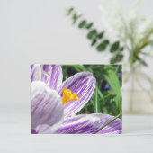 Violet Spring Crocus Briefkaart (Staand voorkant)