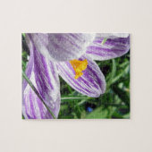Violet Spring Crocus Legpuzzel (Horizontaal)
