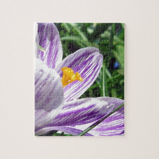 Violet Spring Crocus Legpuzzel (Verticaal)