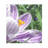 Violet Spring Crocus Notitieblok (Voorkant)