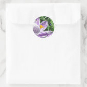 Violet Spring Crocus Ronde Sticker (Tas)