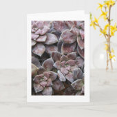 Violet succulent genot kaart (Gele Bloem)