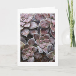 Violet succulent genot kaart
