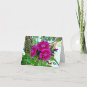 Violet Sweet Williams - Floral Notecard Bedankkaart