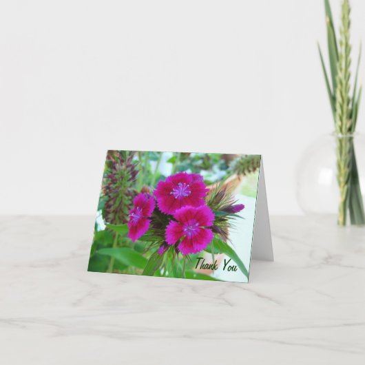 Violet Sweet Williams - Floral Notecard Bedankkaart (Voorkant)