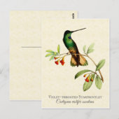 Violet Throated Hummingbird  Art Briefkaart (Voorkant / Achterkant)