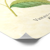 Violet-throtatie Starfrontlet Hummingbird Art Prin Poster (Hoek)