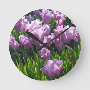 Violet Tulips, Oregon Ronde Klok
