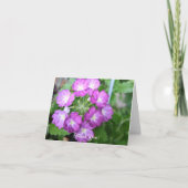 Violet Verbanas Bedankkaart (Voorkant)