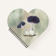  Violet Webcap Mushroom