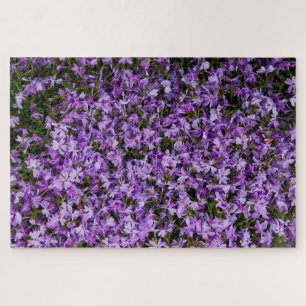Violet Whispers in Bloom – 1014 stuks paarse flox Legpuzzel