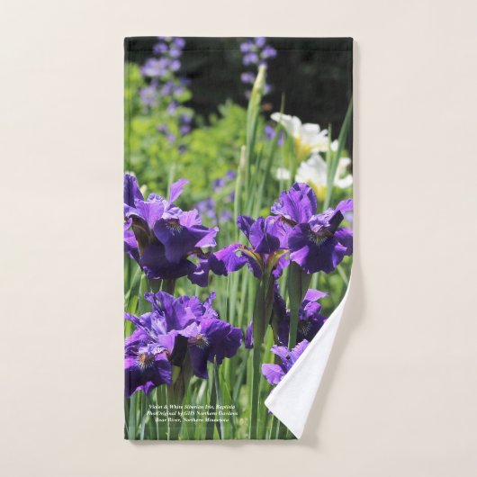 Violet & White Siberian Iris, Baptisia Handdoek (Handdoek)