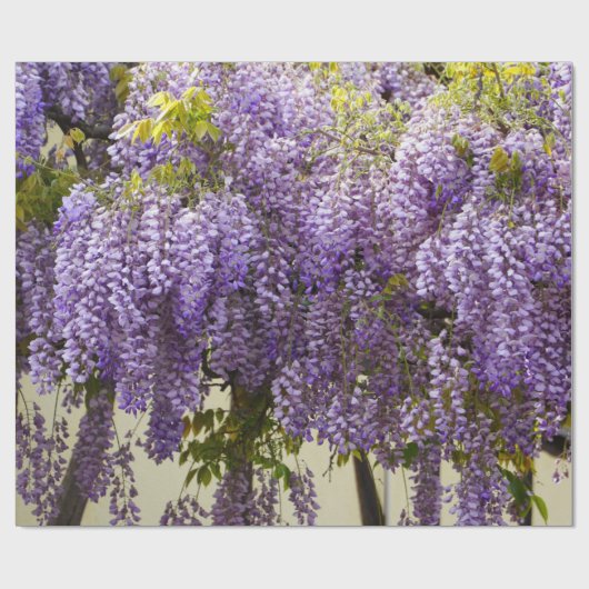 Violet Wisteria Cadeaupapier (Vlak)