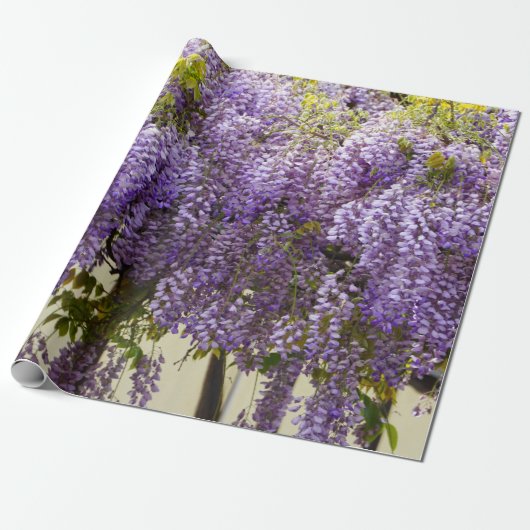 Violet Wisteria Cadeaupapier (Uitgerold)