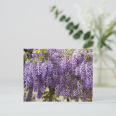 Violet Wisteria Flowers Briefkaart (Staand voorkant)