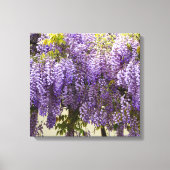 Violet Wisteria Flowers Canvas Afdruk (Voorkant)