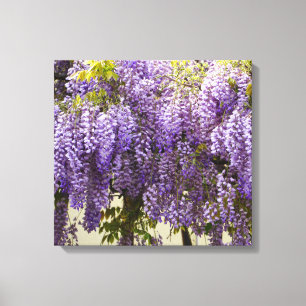 Violet Wisteria Flowers Canvas Afdruk