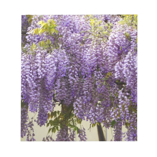 Violet Wisteria Flowers Notitieblok (Voorkant)