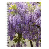 Violet Wisteria Flowers Notitieboek (Voorkant)